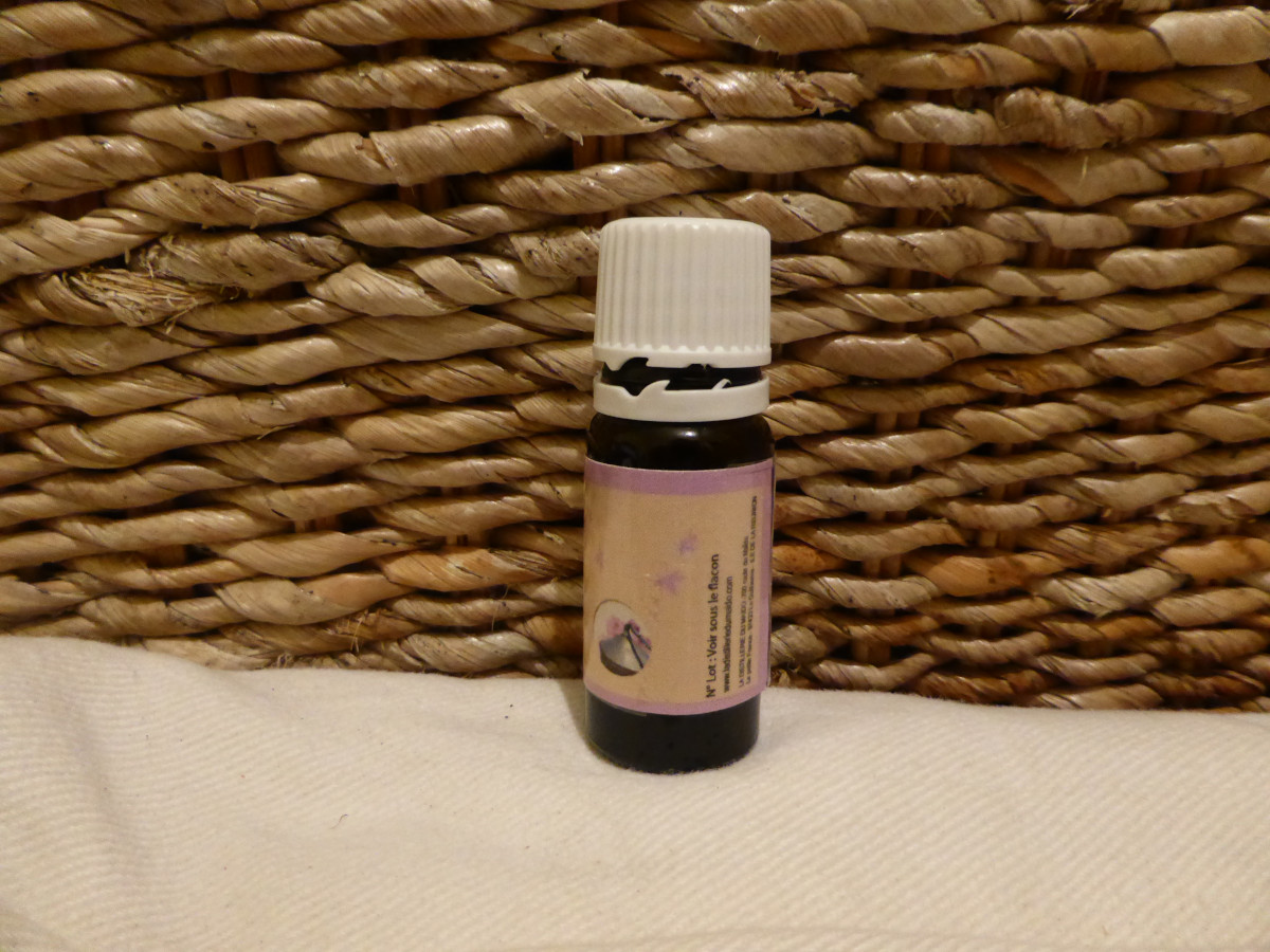 L’huile essentielle de géranium Bourbon de la Réunion (Pelargonium graveolens)
