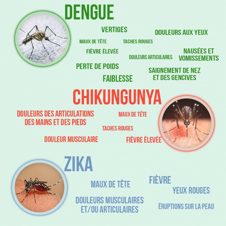 dengue-symptomes-martinique